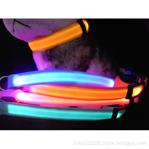 fashion pet led collar